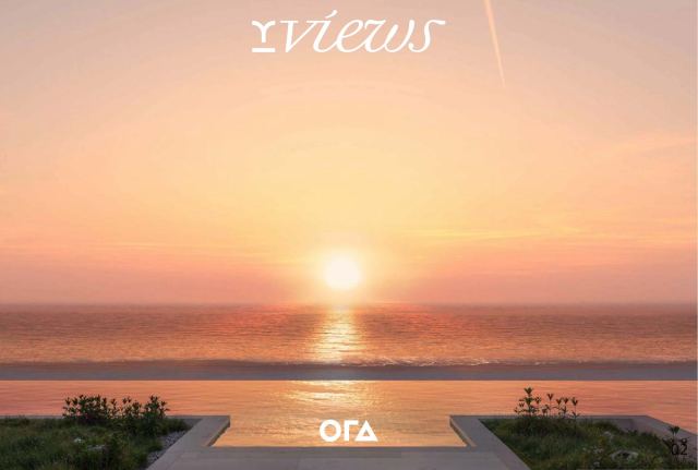 Y Views at BAYN