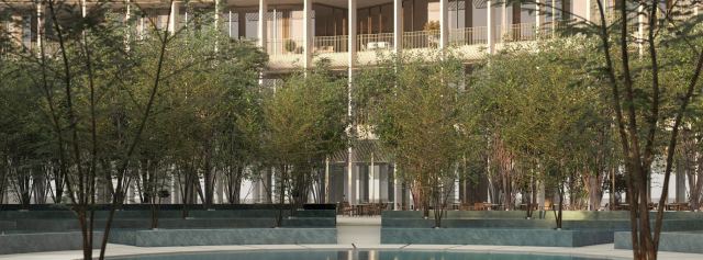 The planted water garden on the raised base at Four Seasons Private Residences DIFC.