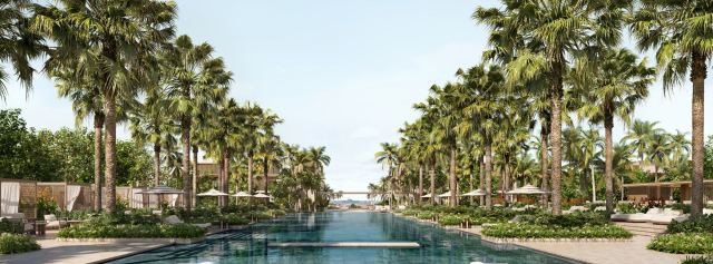 Pool deck and palms at Four Seasons Private Residences Saadiyat Beach