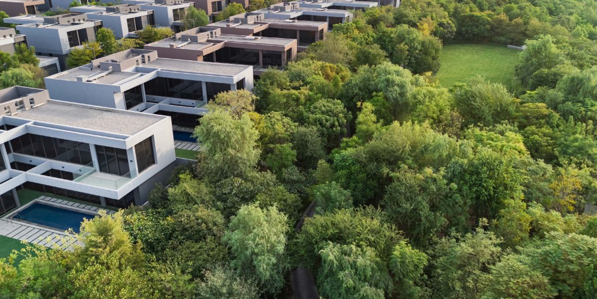 Aerial view of standalone villas at Masaar 3 surrounded by mature trees.