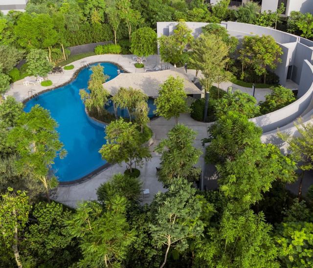 Aerial view of the forest lagoon pool at Masaar 3.