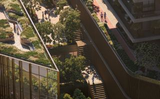 Planted podium terraces stepping down from the buildings at Rise by Athlon.