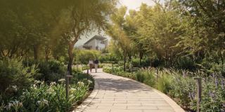 A landscaped walkway between homes at Sobha City Abu Dhabi, with planting either side of the path.