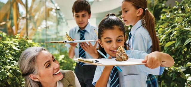 The education institute inside The Wilds community.