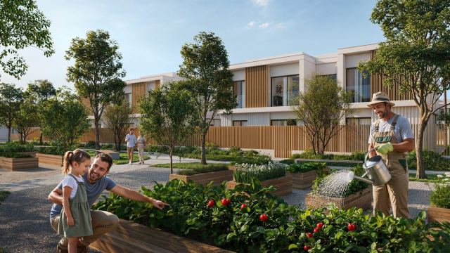 Residents growing vegetables in the hobby garden at Yas Riva Reserve